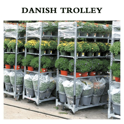 Садовническим гальванизированная переходом вагонетка Cc голландского завода цветка датская