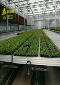 Хйдропоник парник саженца подносов растет кровати для Седбед/овоща заводов