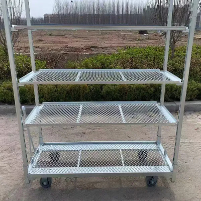 Горячее оцинкование PP Caster 1350*565 мм Сельскохозяйственное посадка цветочная тележка датские тележки для теплицы урожая тележка