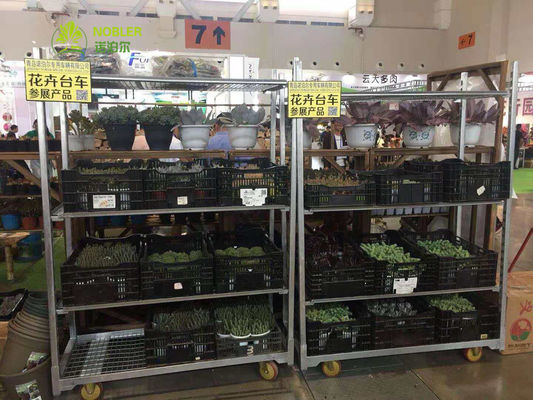 Hot Galvanized Zinc Danish Cart from Featuring Pulling System Can Be Choose Suitable for Warehouse and Logistics Operations